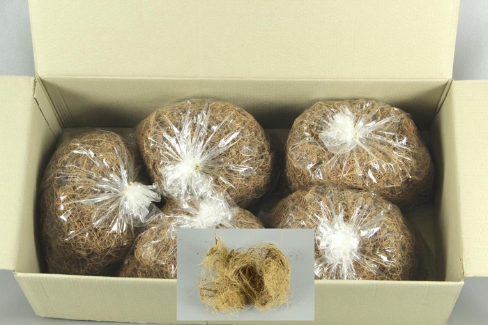 <h4>Tamarind Fiber Nat. (Bag 500g)</h4>