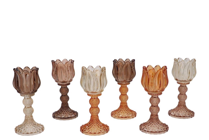 <h4>Bicolore Earthy Terra Bloom T-light Ass 8x18cm Nm</h4>