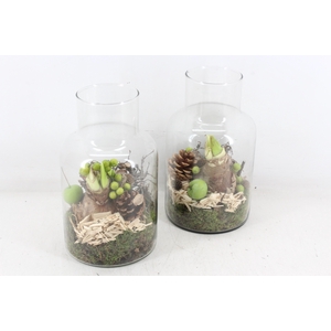 arr4 Amaryllis MB - Glas milano 338/6