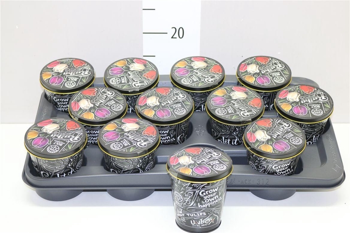 <h4>Bloembol Tulipa Mix In Zinken Giftbox</h4>