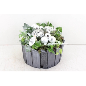 arr. PL Hedera - Hout pot grijs - z