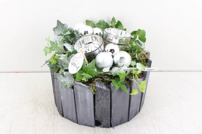 arr. PL Hedera - Hout pot grijs - z
