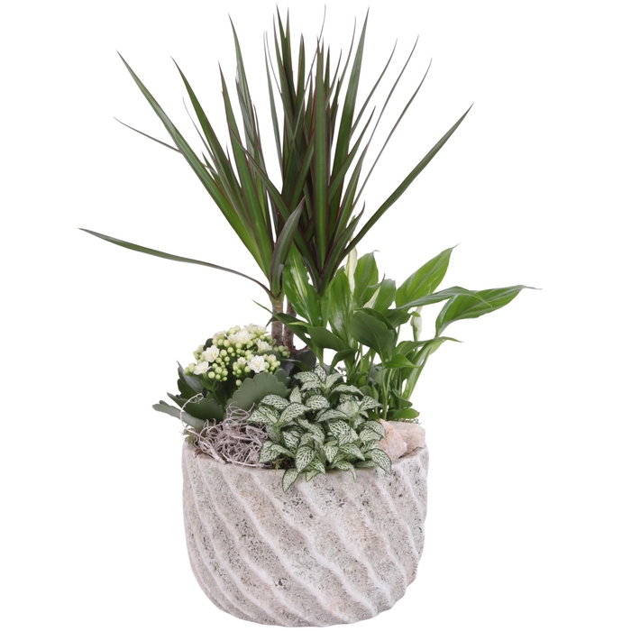 <h4>Yearround Arr. Indoor Ceramic Natural Touch NT668 Ø20cm 4PP</h4>
