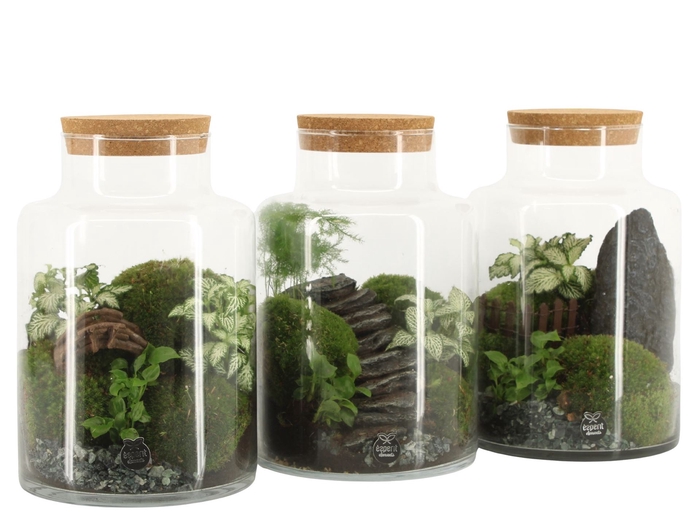 Arr.   Planten H%