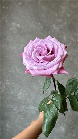 <h4>R Gr Babaloo</h4>