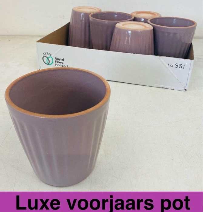 <h4>HUIS EN TUINDECO H%</h4>