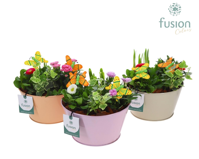 <h4>Zink schaal voorjaar div.kleuren met arrangement</h4>