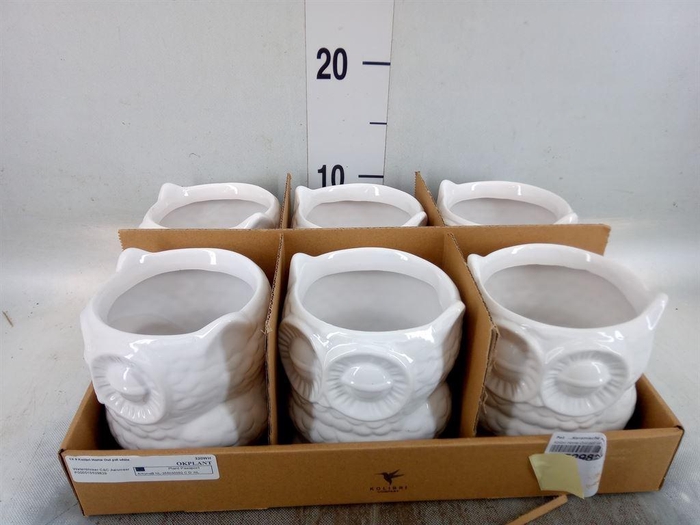 <h4>Pot   ...keramische H%</h4>