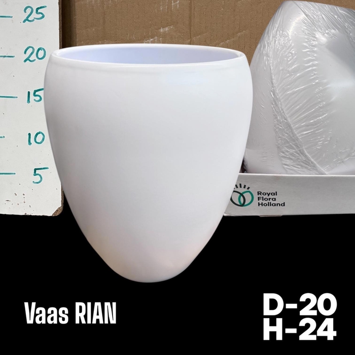 <h4>POT H%</h4>
