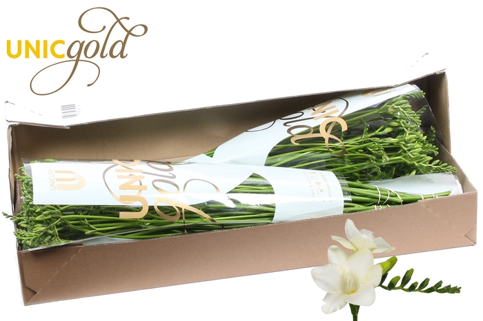 <h4>UG Hofland Oranjepolder BV - Ambiance box</h4>