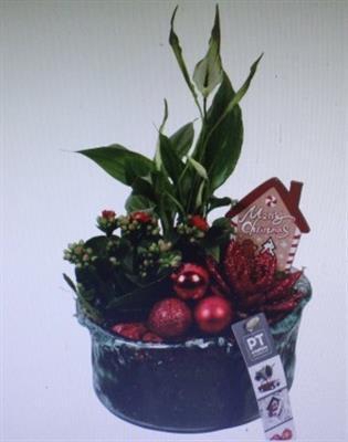 <h4>7439 ROOD BLUE GLAS</h4>