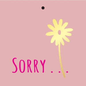 Labels Card 7*7cm x20 Sorry