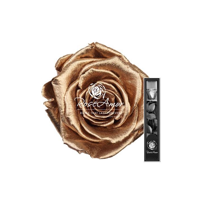 <h4>30cm Stem Metallic Gold</h4>