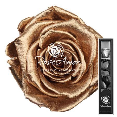 <h4>30cm Stem Metallic Gold</h4>