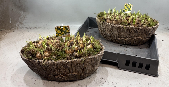 <h4>ARR N TETE A TETE</h4>