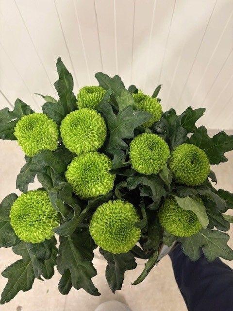 <h4>Chr G Overig groene bol</h4>