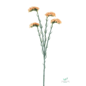 SILK FLOWERS - STATICE SPRAY PEACH 64CM