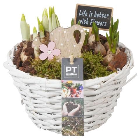 <h4>PTBM3850 Arrangement Flower Bulbs Mix in rieten mand</h4>
