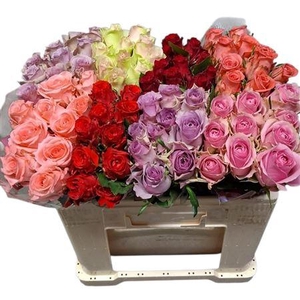 R Gr Gemengd In Fust