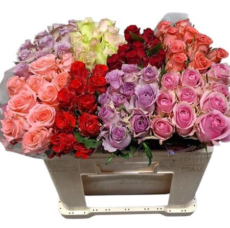 <h4>R Gr Gemengd In Fust</h4>