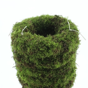 Wreath Moss Fresh 40cm