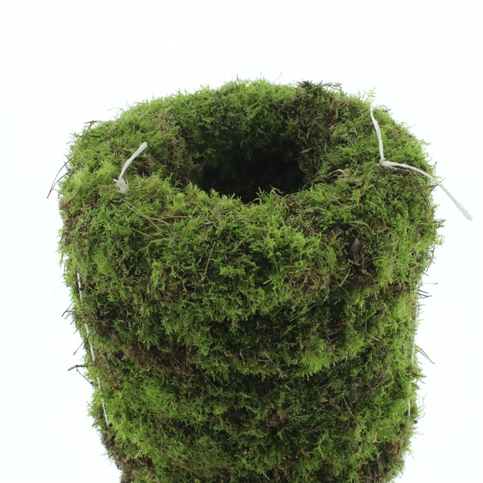 <h4>Wreath Moss Fresh 40cm</h4>
