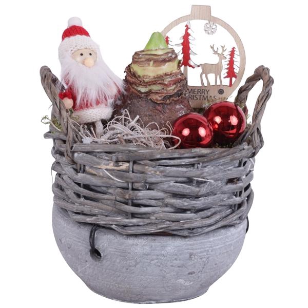 <h4>Christmas Arr. Amaryllis Willow Basket Ceramic Botom Ø14cm 1PP</h4>