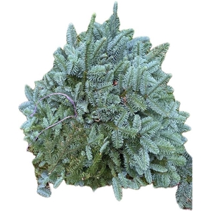 NOBILIS ZIJKNIP LILA 5KG