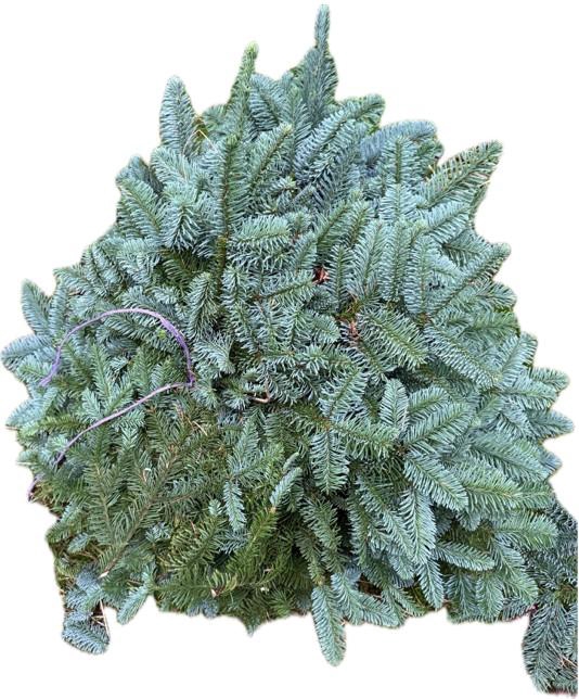 <h4>NOBILIS ZIJKNIP LILA 5KG</h4>