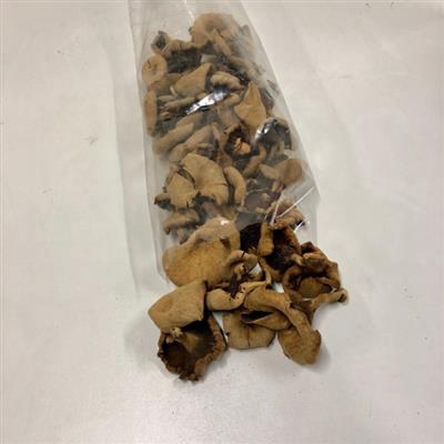 <h4>K6.FLOWER MUSHROOM P</h4>