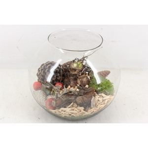 arr4 Amayllis MB - Glas bol XL red