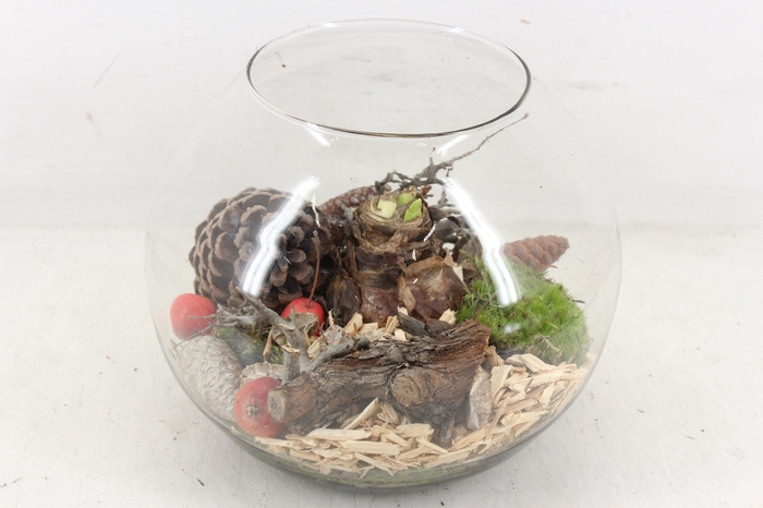 <h4>arr4 Amayllis MB - Glas bol XL red</h4>