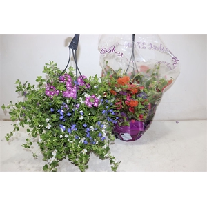 Hanging Baskets