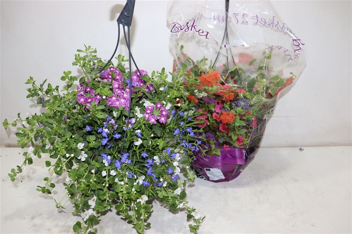 <h4>Hanging Baskets</h4>