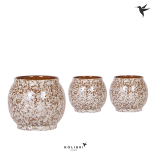 Kolibri Home Safari pot