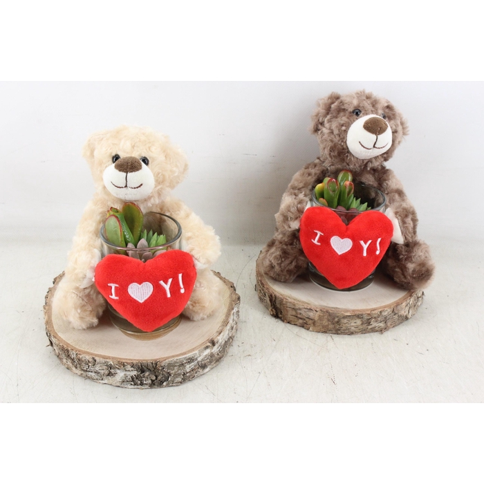 <h4>Arr3 Ad - Bear On Slice X2</h4>