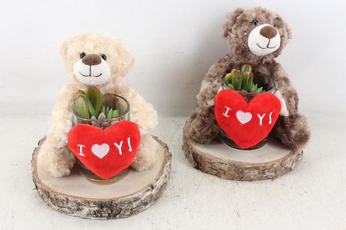 Arr3 Ad - Bear On Slice X2