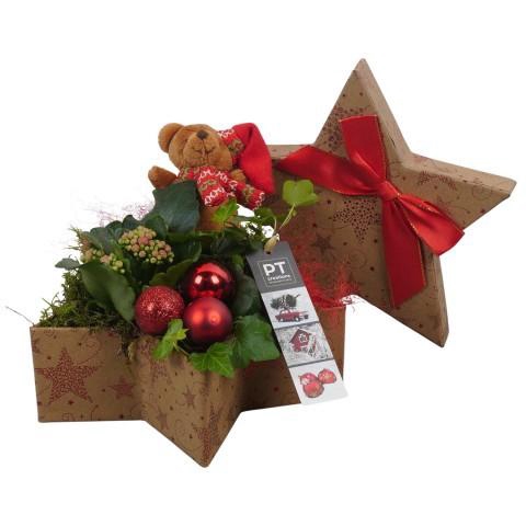 <h4>PTCHR7380 Arrangement Christmas Red in karton pot</h4>