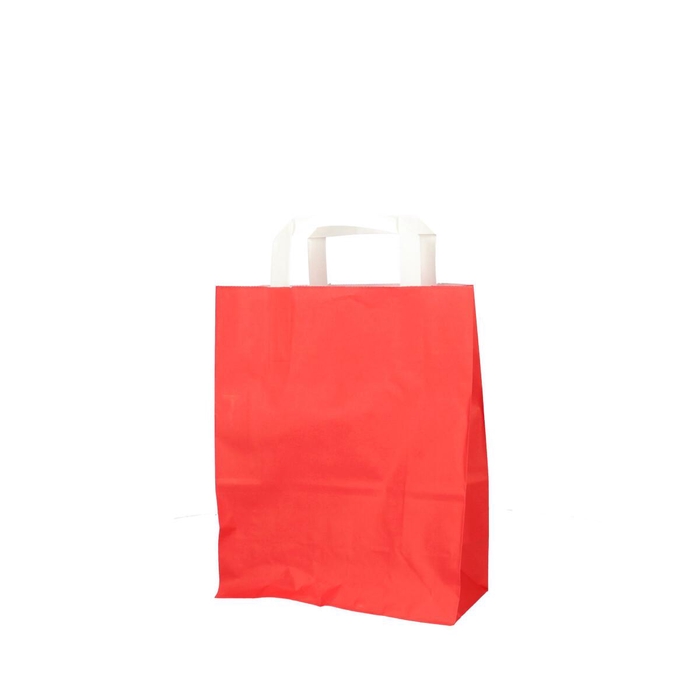<h4>Tassen Papier 22/11*28cm</h4>