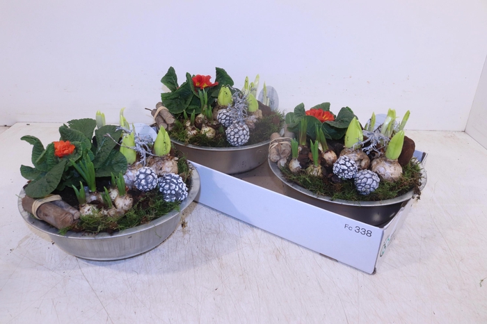 <h4>Arr Pl In Schaal</h4>