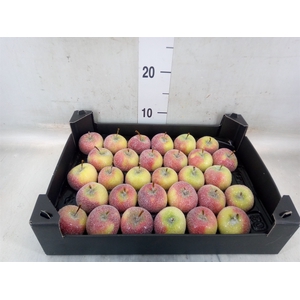 Decoratieve materialen   ...H%