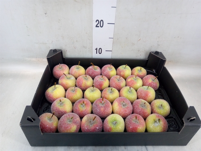 <h4>Decoratieve materialen   ...H%</h4>