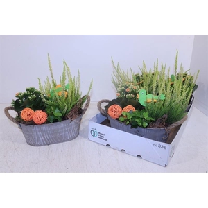 ARR TUINPLANTEN