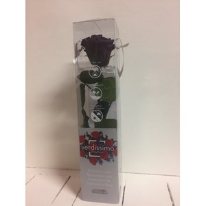Roos op steel mini 27,5cm Purple