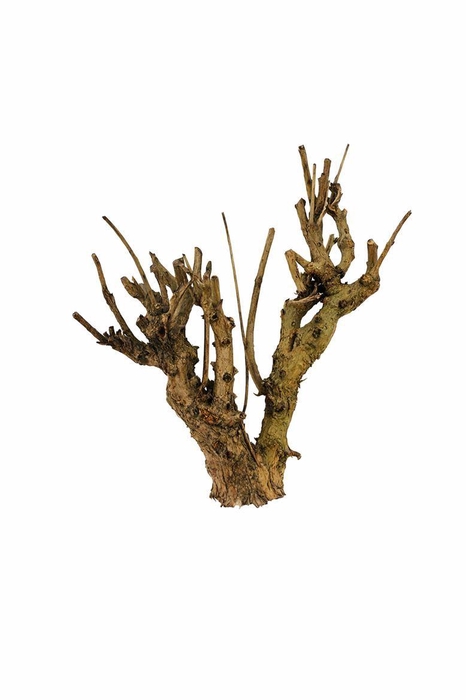<h4>Housses 52x35x10cm OPP40 Kraftline rose</h4>