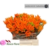 Cap Orange Fire