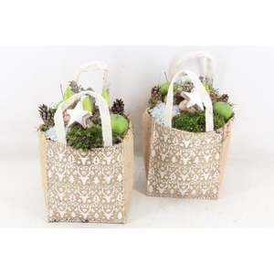 arr4 Hyacint MB - Christmas bag x6