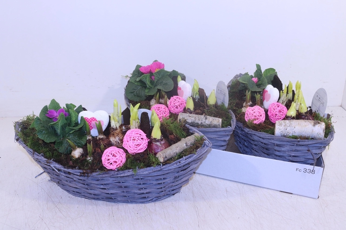 <h4>ARR TUINPLANTEN</h4>