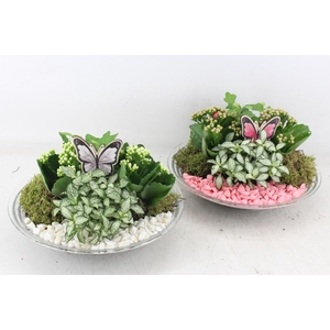 arr2 PL - Glas schaal 27cm - roze/wit