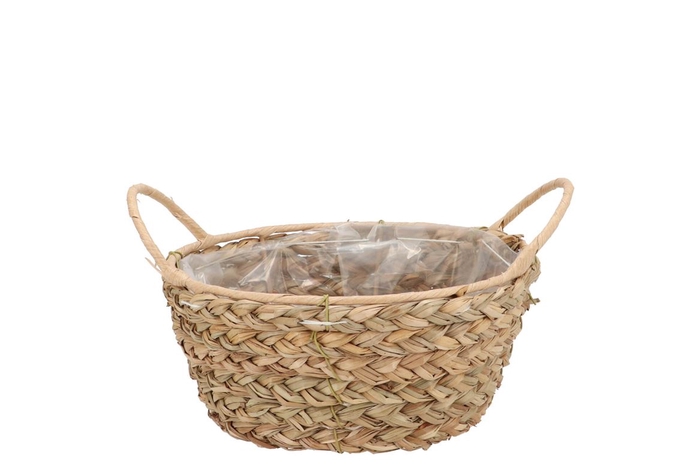 <h4>Seagrass Levi Basket Bowl Natural 19x9cm</h4>